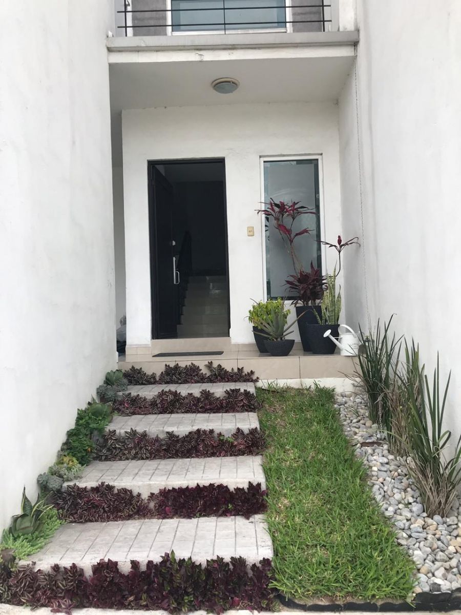 3 de 25: Entrada
