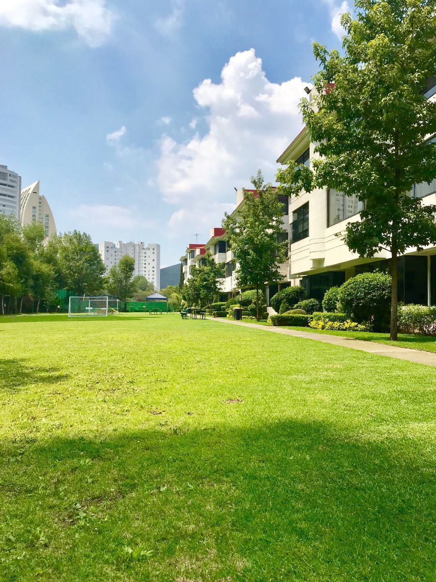 16 de 17: Jardín 