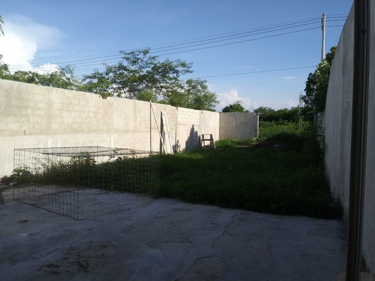 13 de 13