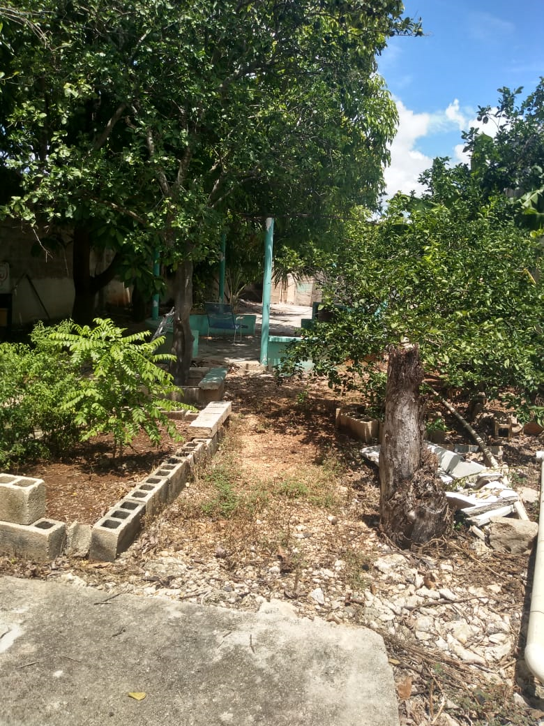 3 de 4