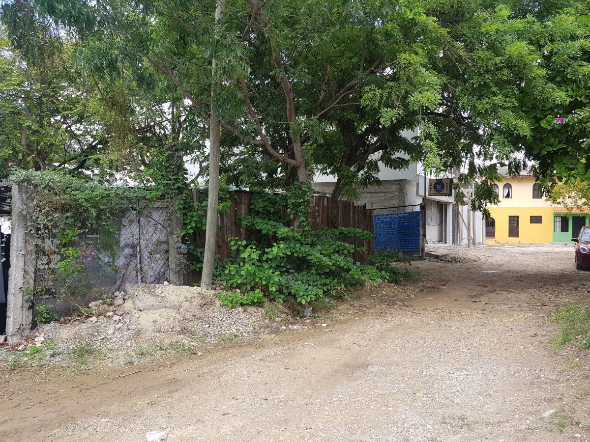 3 de 5
