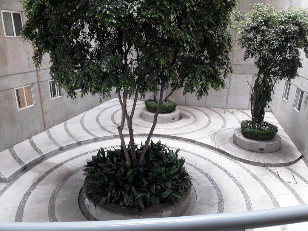 5 de 17