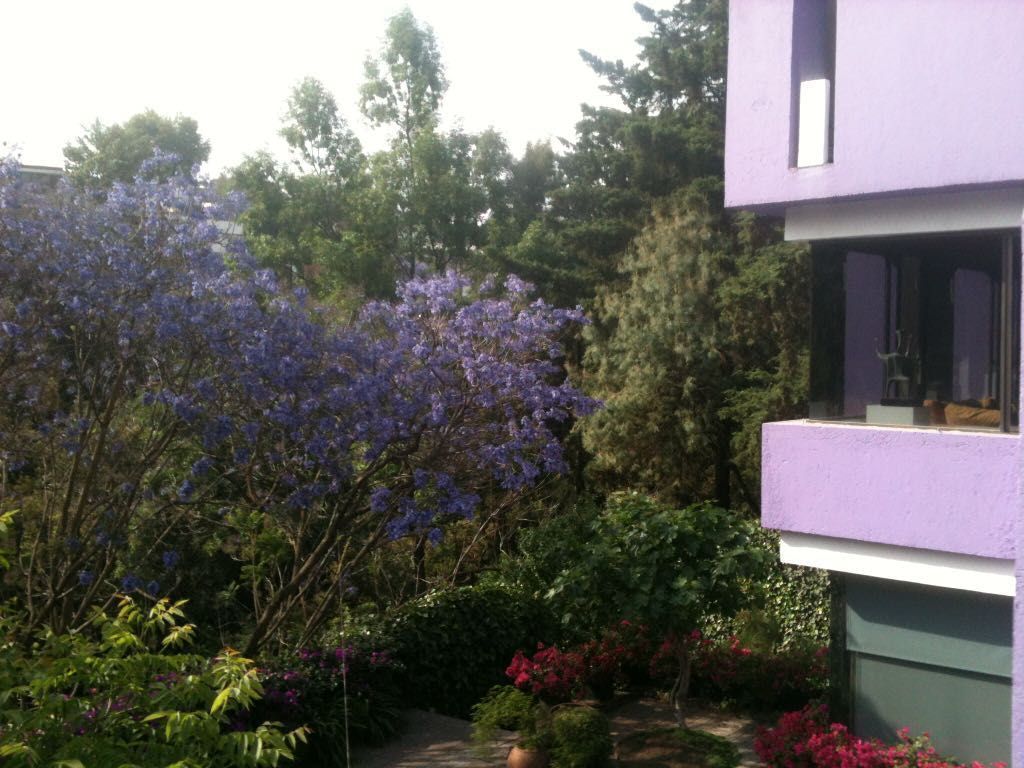 Casa en las Lomas / Cerrada Retorno de Julieta - foto 1