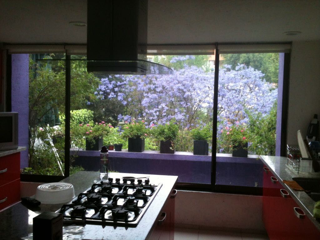 Casa en las Lomas / Cerrada Retorno de Julieta - foto 3