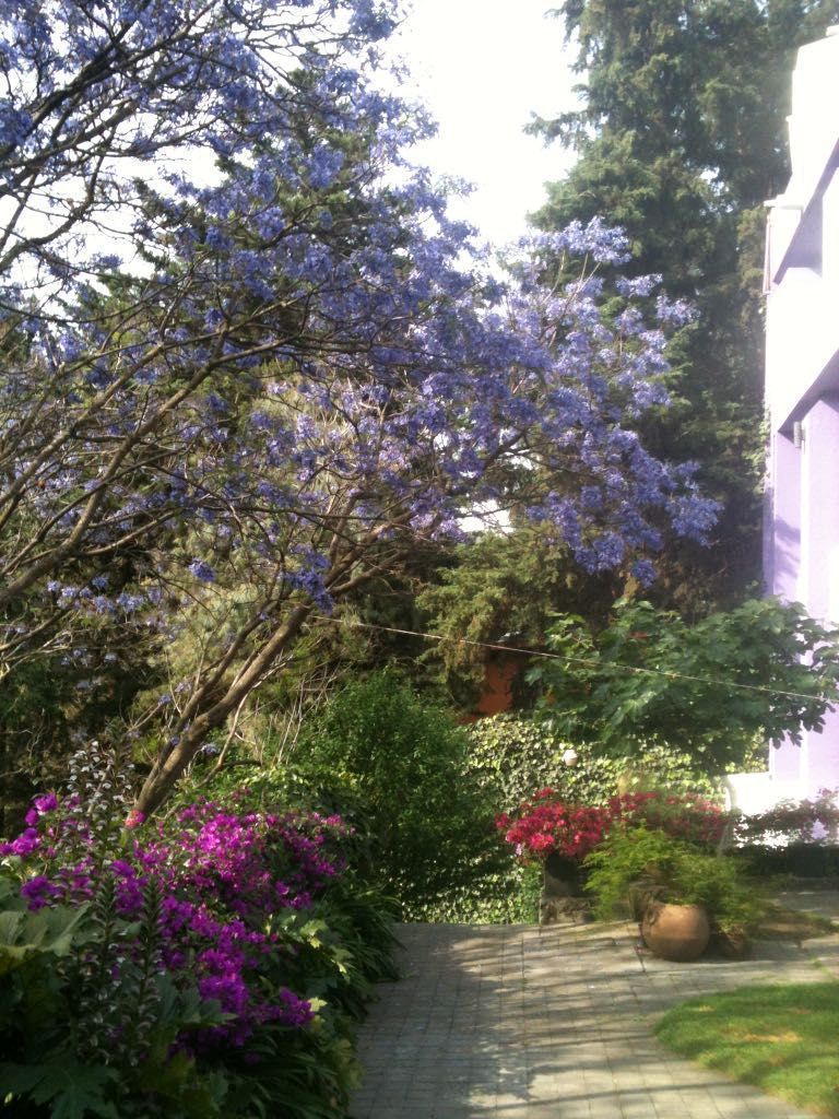 Casa en las Lomas / Cerrada Retorno de Julieta - foto 5