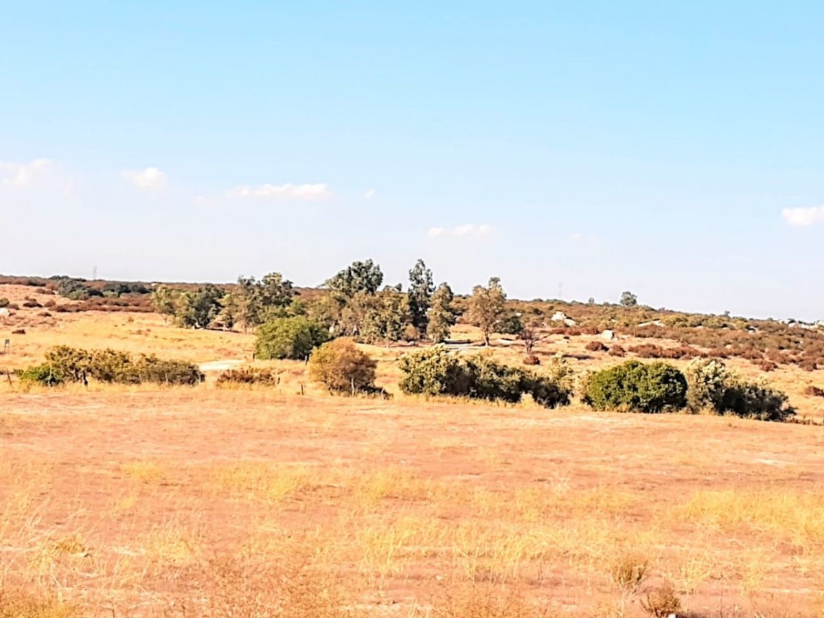 Terreno en Santa Verónica, Tecate, foto 22 de 28