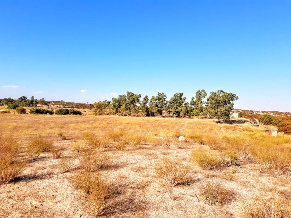 Terreno en Santa Verónica, Tecate, foto 2 de 28