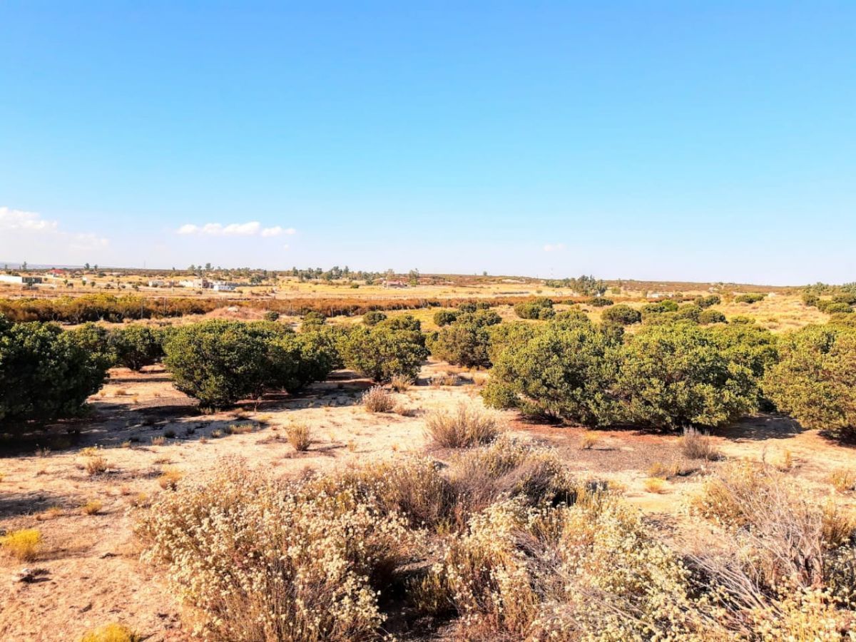 Terreno en Santa Verónica, Tecate, foto 16 de 28
