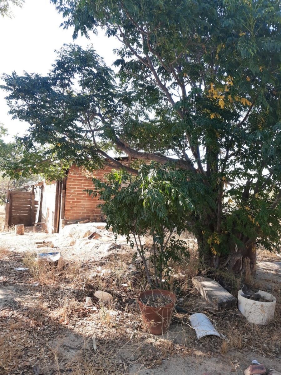 Terreno en Santa Verónica, Tecate, foto 4 de 28