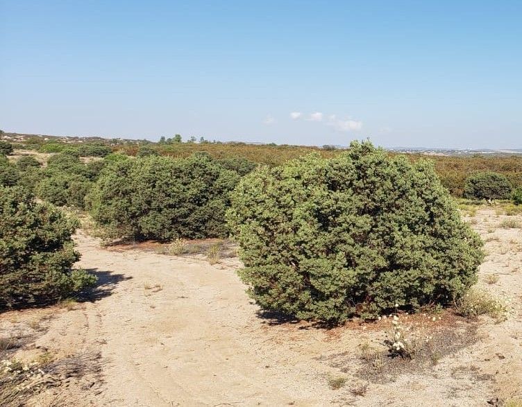 Terreno en Santa Verónica, Tecate, foto 15 de 28