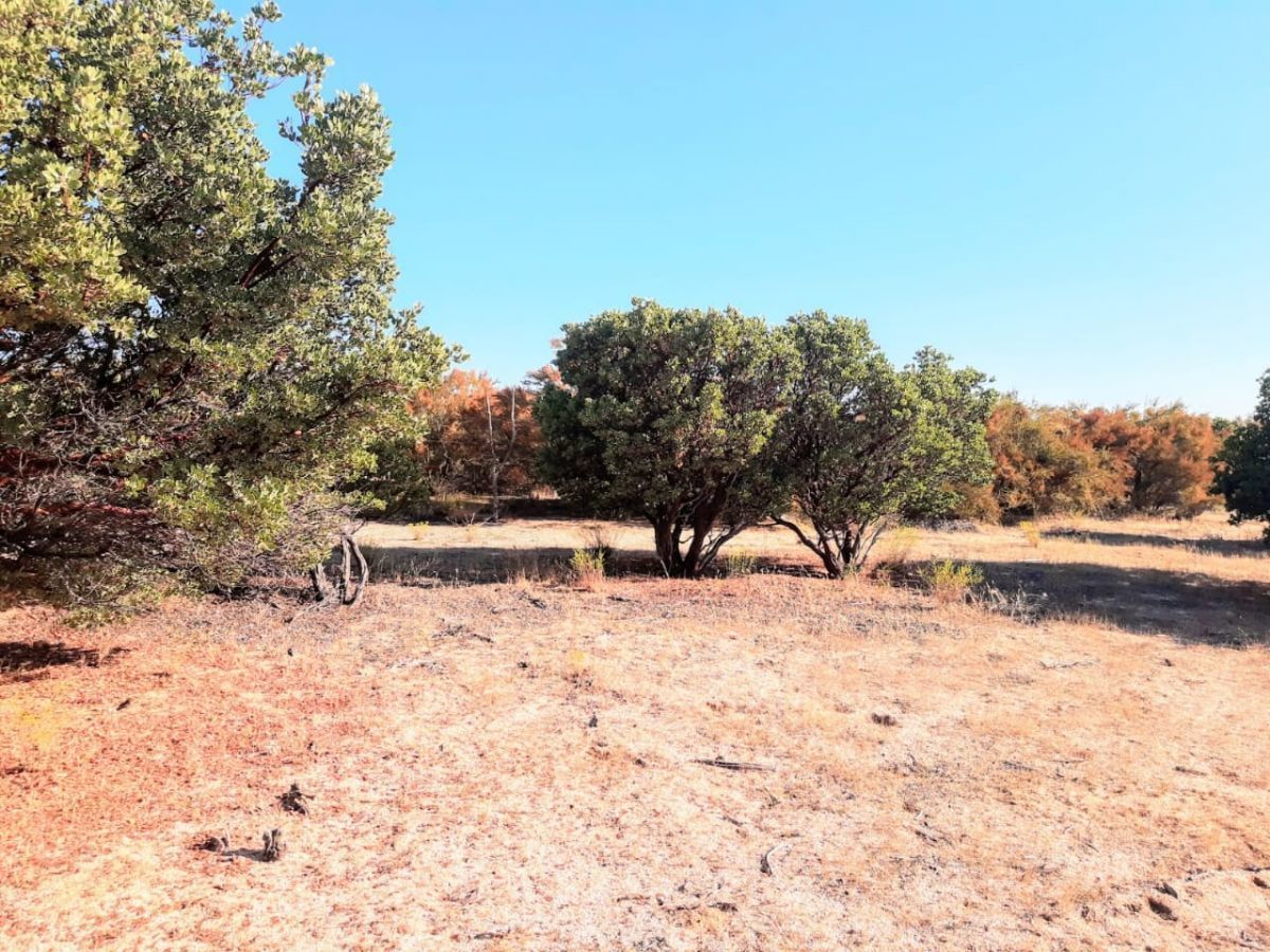 Terreno en Santa Verónica, Tecate, foto 25 de 28