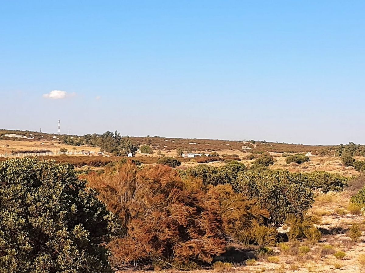 Terreno en Santa Verónica, Tecate, foto 26 de 28