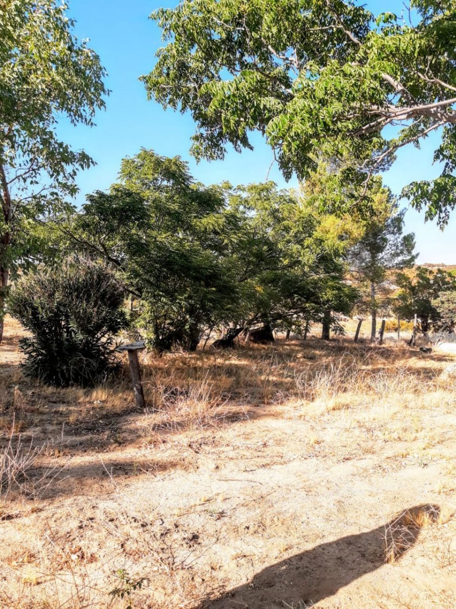 Terreno en Santa Verónica, Tecate, foto 6 de 28