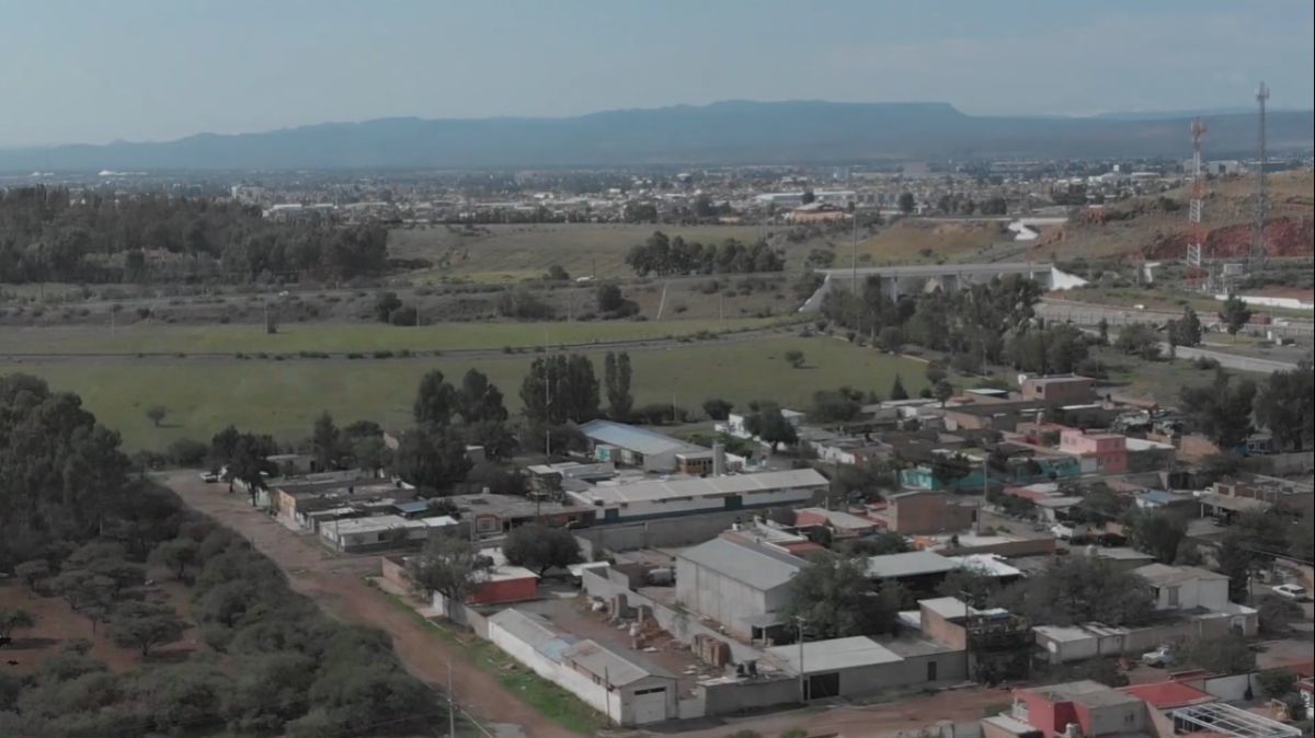 4 de 14
