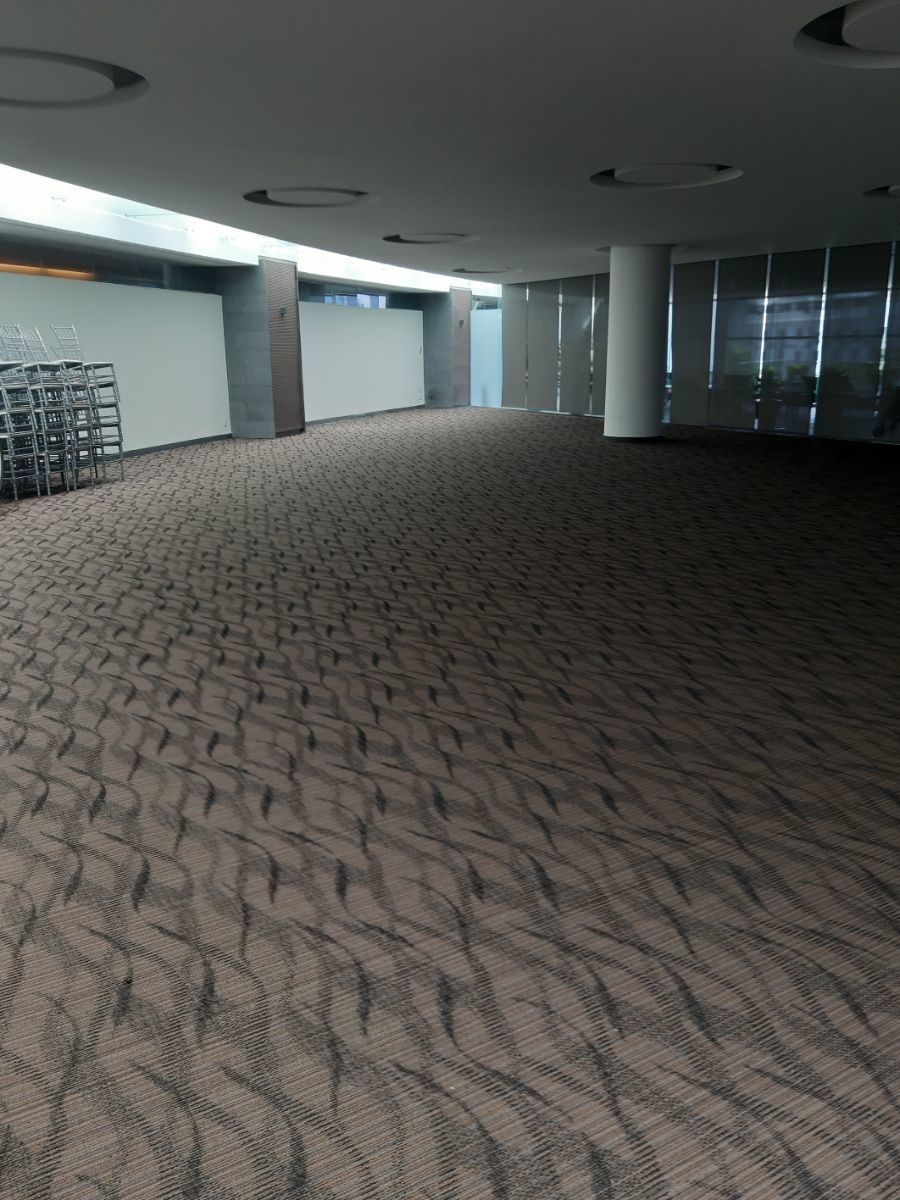 30 de 39: SALON DE USOS MULTIPLES