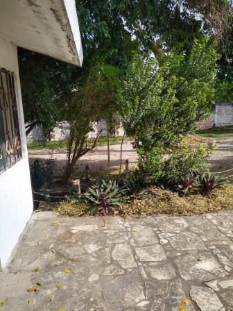 Imagen 3 de 10