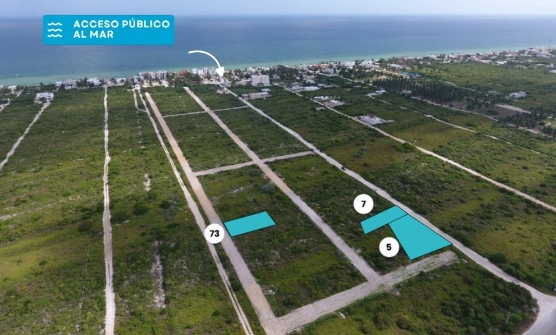 1 de 7: DISPONIBILIDAD