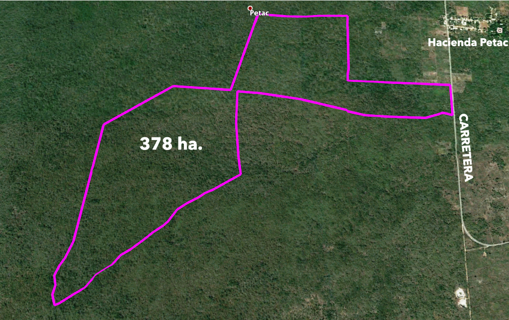 TERRENO DE 244 HECTÁREAS EN SAN ANTONIO TZACALÁ, MÉRIDA, YUCATÁN - foto 2