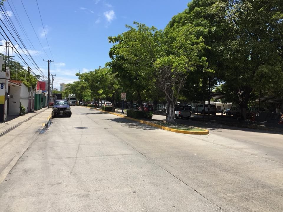6 de 15