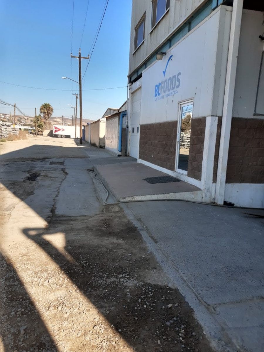 Nave industrial en El Sauzal, Ensenada, foto 30 de 37