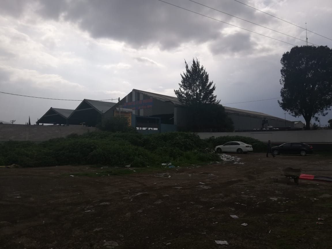 14 de 15