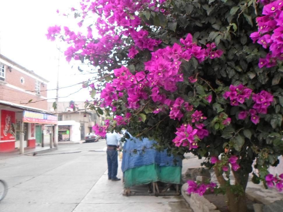 Imagen 2 de 5