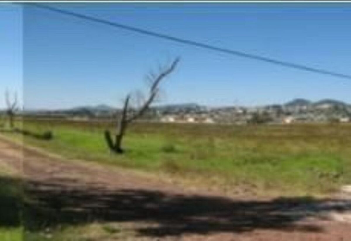 Imagen 8 de 10