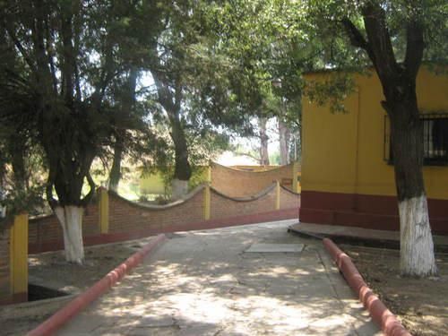 4 de 8