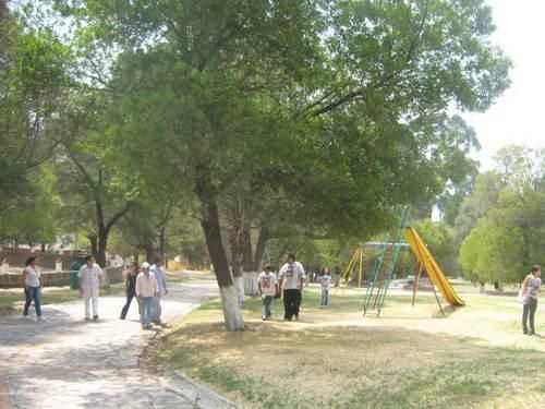 5 de 8