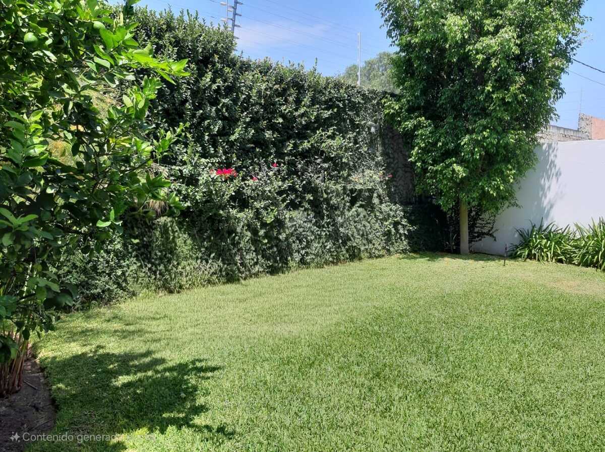 11 de 25
