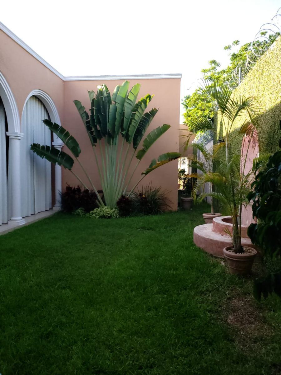 25 de 29