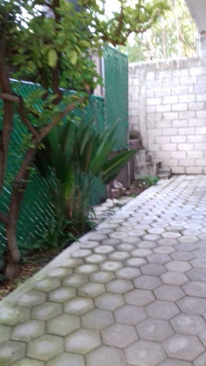 4 de 11