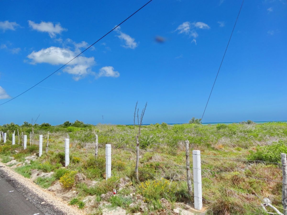 3 de 6: Venta de terreno de Playa en Yucatán