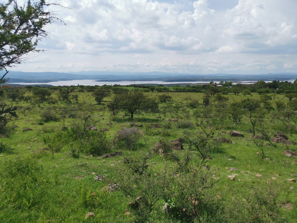 5 de 20: Vista del Terreno hacia la Presa Ignacio Allende