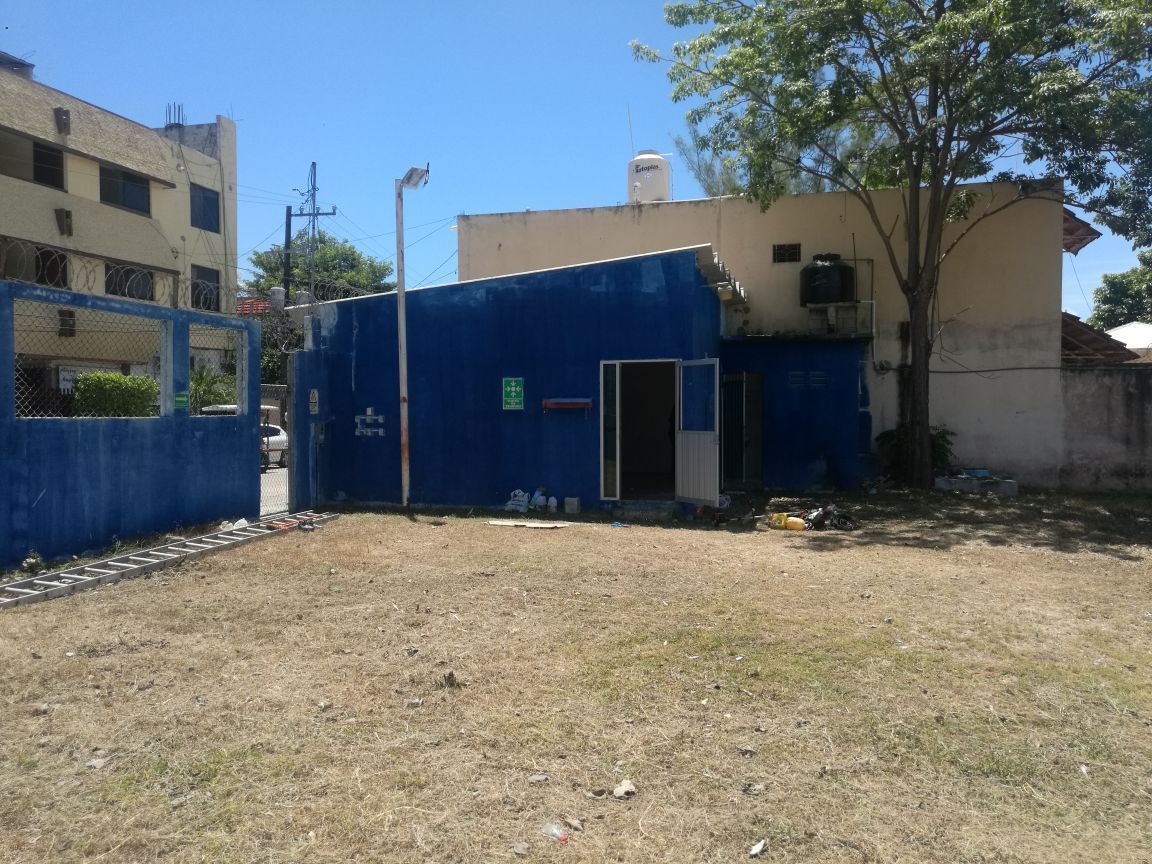 5 de 12