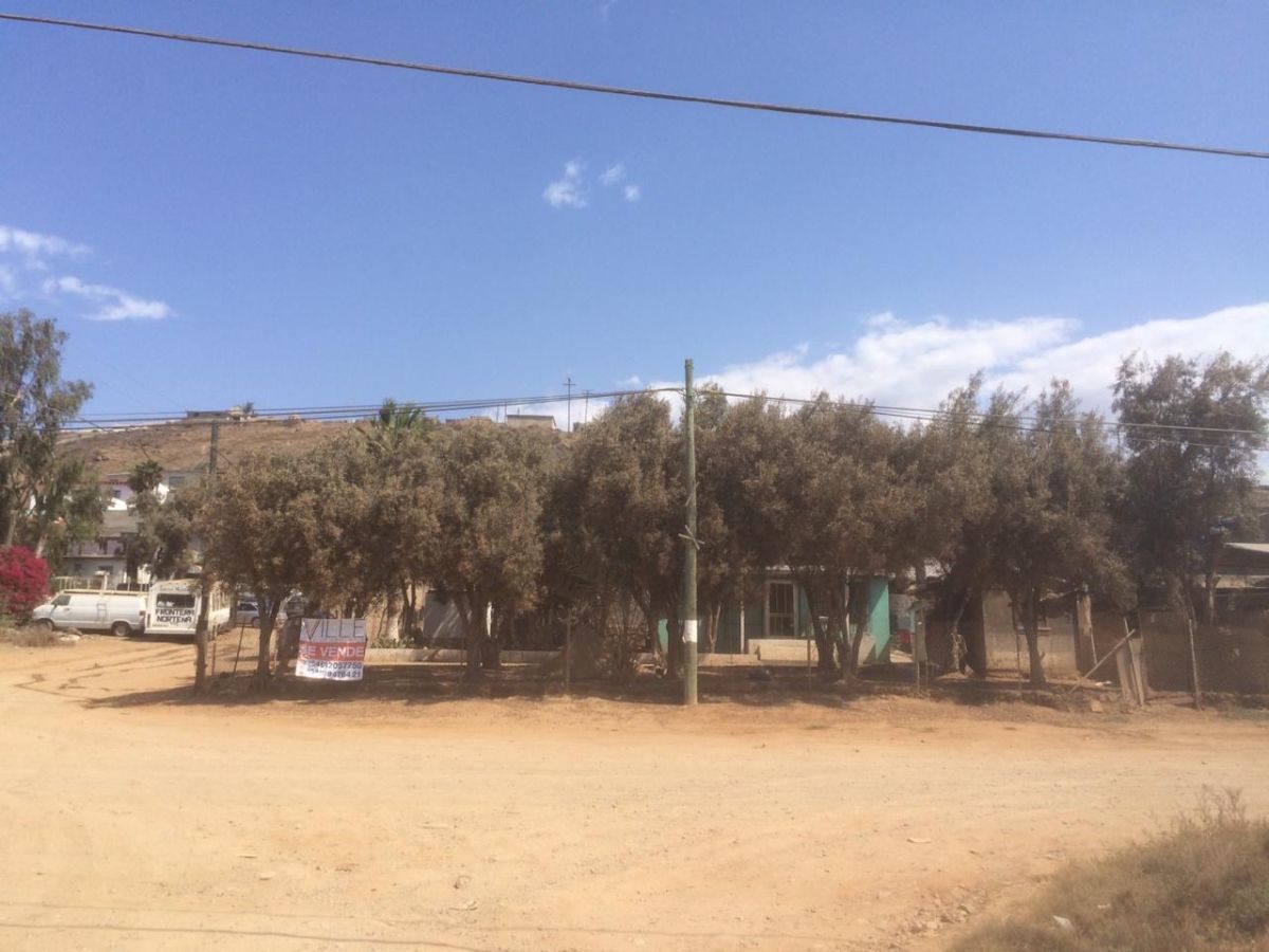 7 de 18: VISTA TERRENO