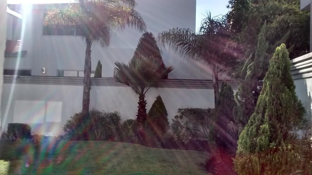 16 de 17