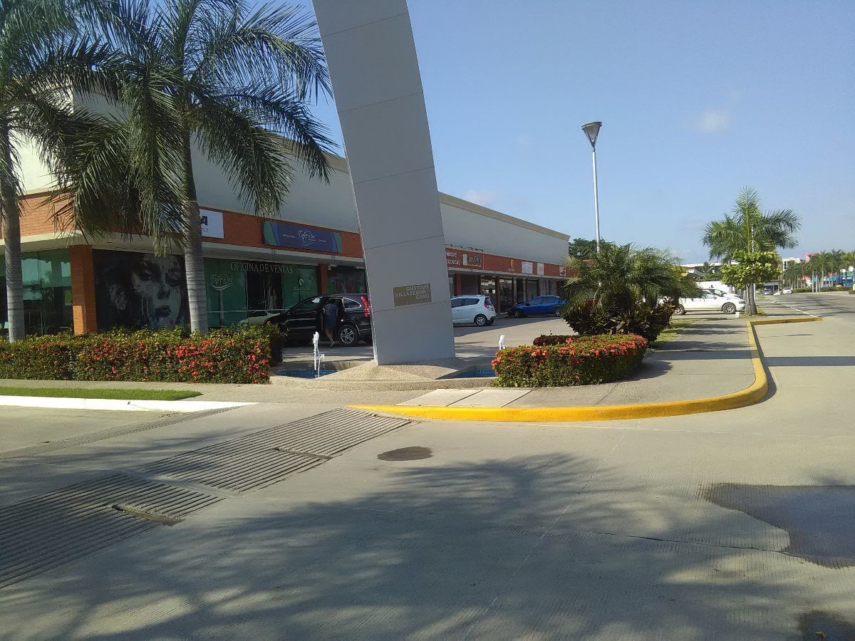 4 de 4