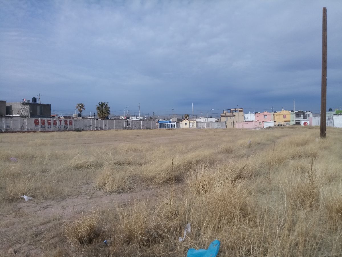 1 de 8