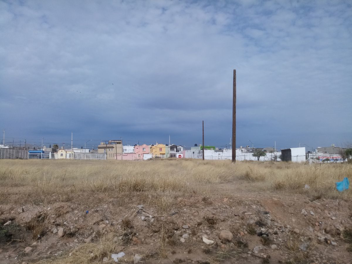 2 de 8