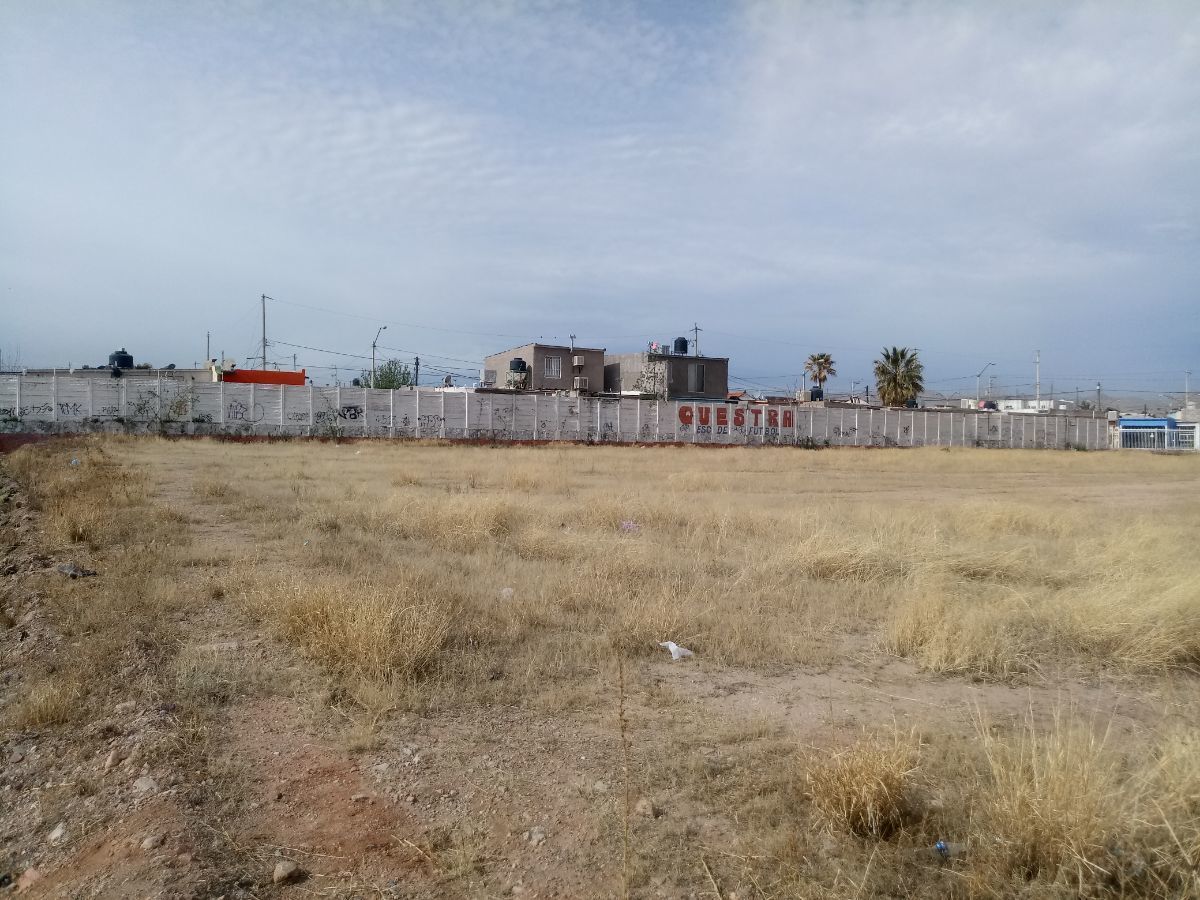 3 de 8