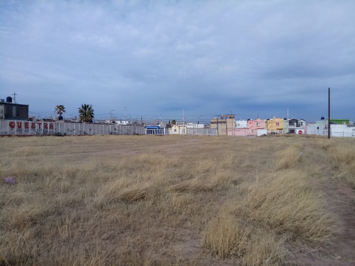 5 de 8