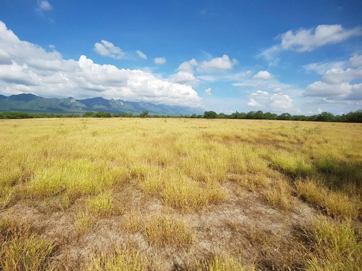 Terreno Campestre en Venta Salinas Victoria