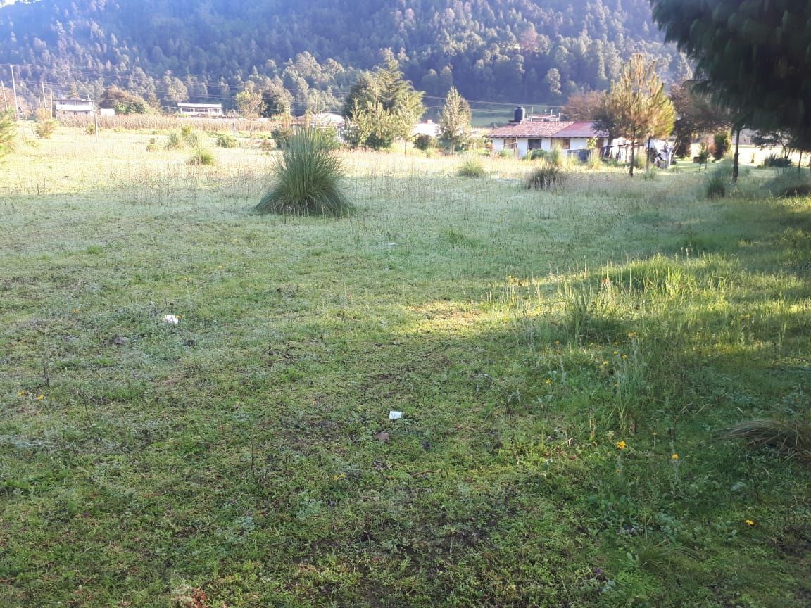 2 de 4