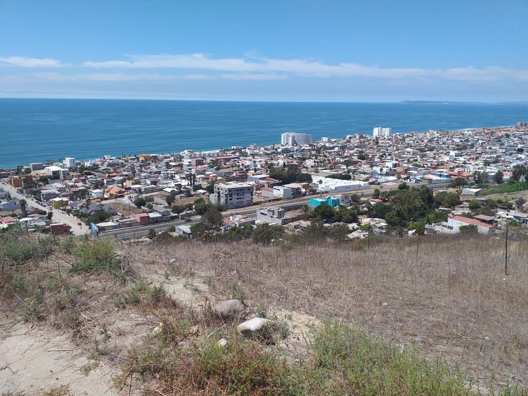 7 de 11