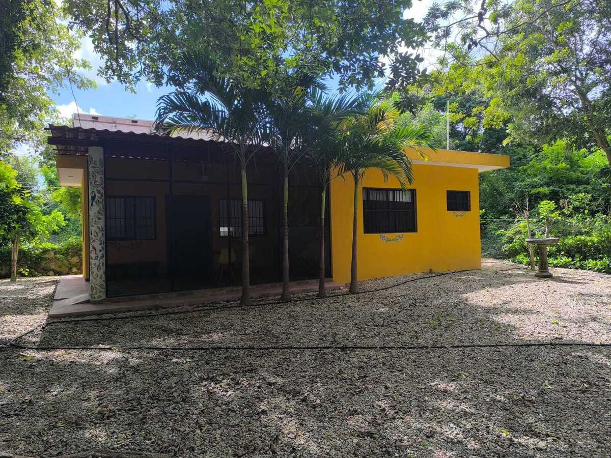 1 de 14
