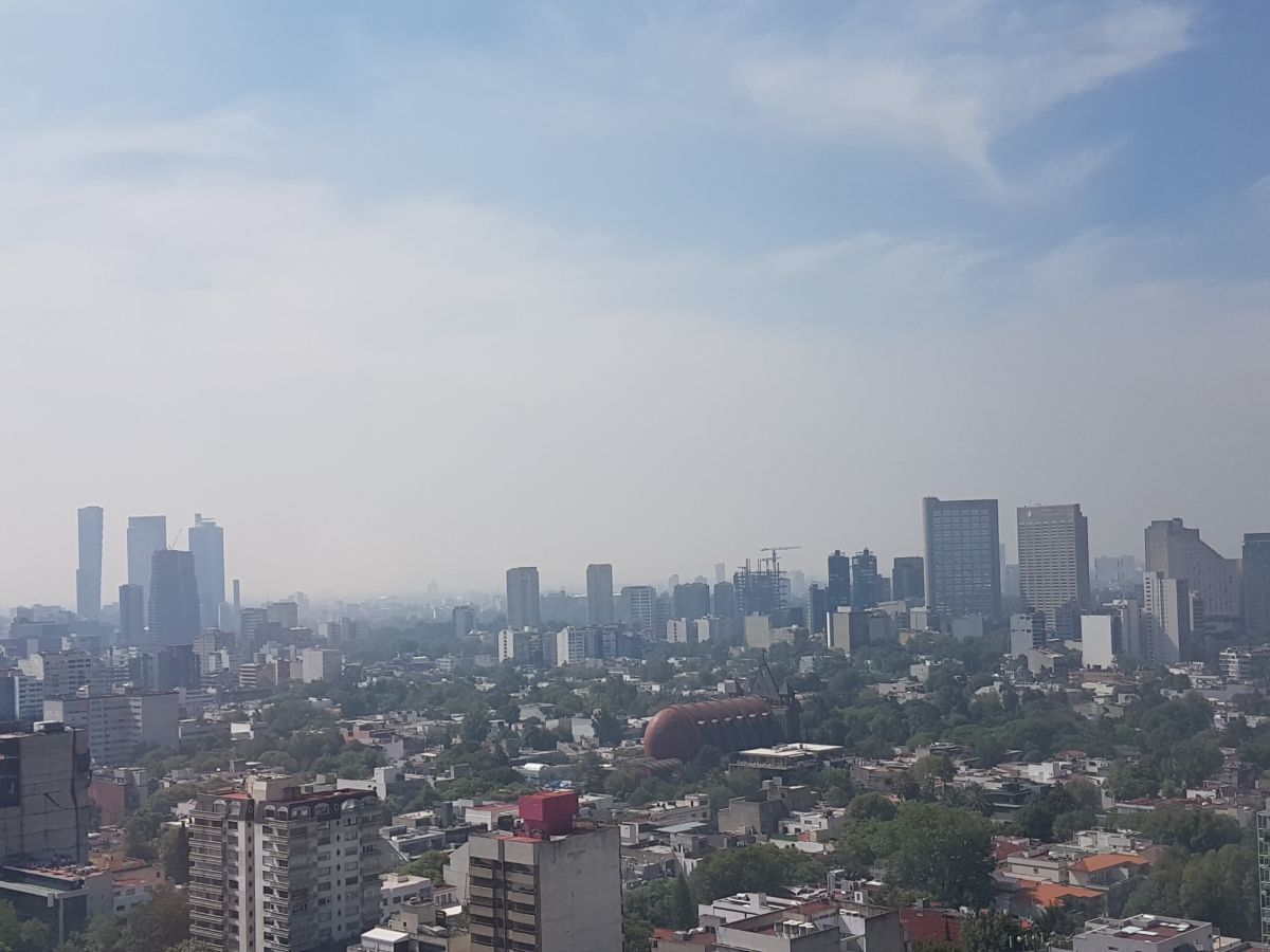 7 de 14