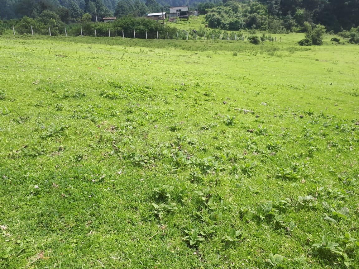 2 de 6
