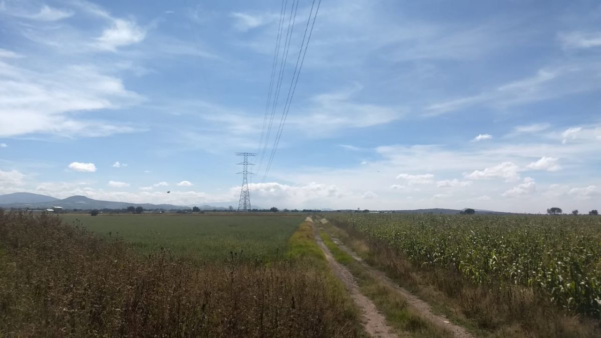 3 de 15