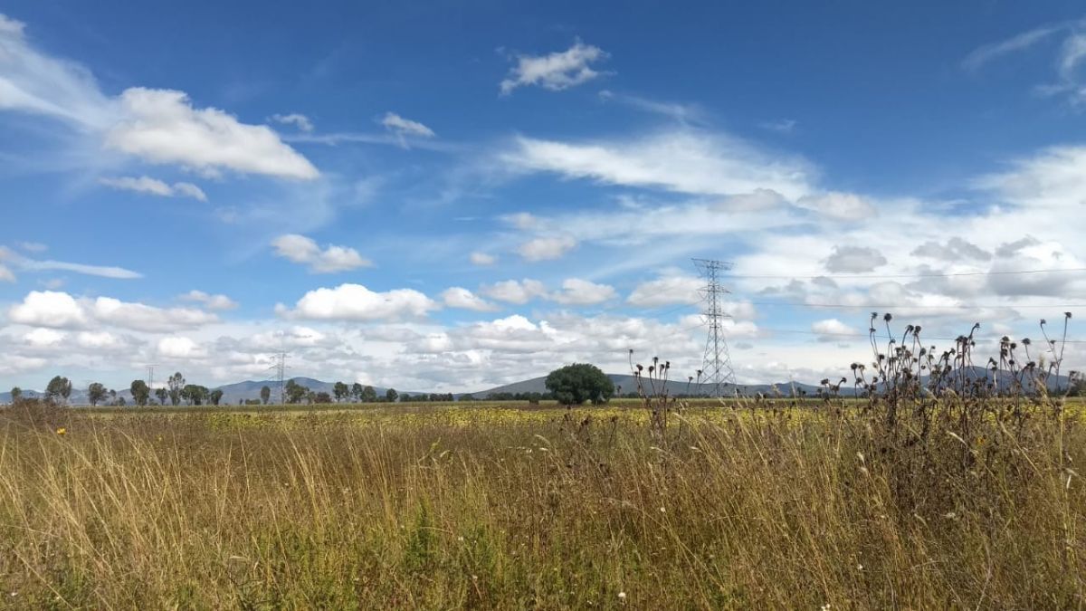6 de 15